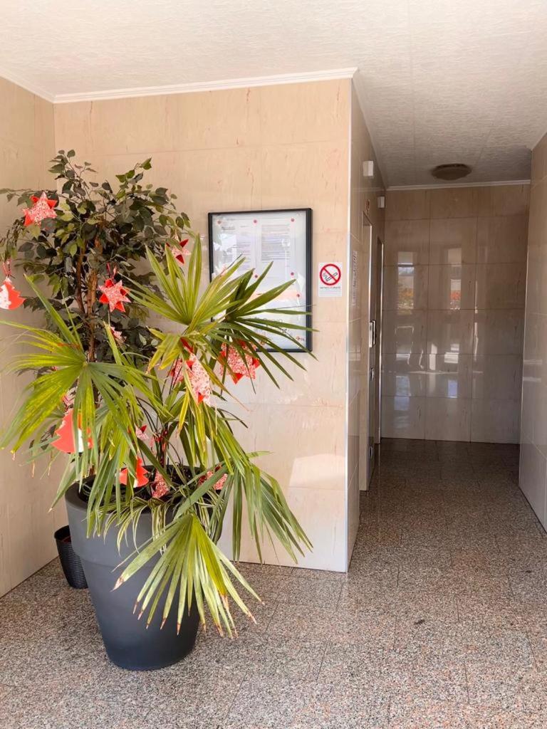 Coco Apartment Bergamo Luaran gambar